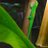 u_random's avatar