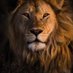 Sam - #Forexsuccess (@stesfay1) Twitter profile photo Sam - #Forexsuccess (@stesfay1) Twitter profile photo