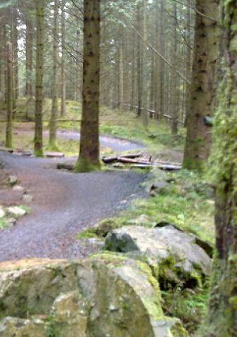 EssentialMTB's profile picture. Whether it’s trail or trials, downhill or XC, epic all day rides or short blasts round the local, we love it all.