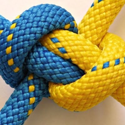 doc_sh_denis's profile picture. 