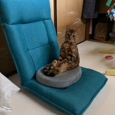 kaomojisensei's profile picture. 予備校で物理と数学を教えています(●￣∀￣●)ノ世界顔文字教育学会会長。顔文字による心理的効果が教育に及ぼす影響を計算し(ry フォロー時には必ず固定ツイートをいいねすること(´∀`)ノ🀄