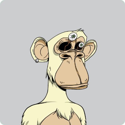 susangitomer75's profile picture. 