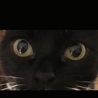 Michael KBA (@michael23713417) 's Twitter Profile