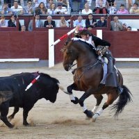 Roberto Armendariz (@rarmendarizinfo) 's Twitter Profile