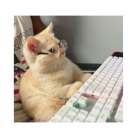 Maybe Me (@bealoneboy) 's Twitter Profile