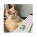 Maybe Me (@bealoneboy) Twitter profile photo Maybe Me (@bealoneboy) Twitter profile photo