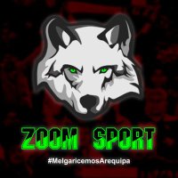 ZOOM SPORT(@ZOOMSPORT6) 's Twitter Profile Photo