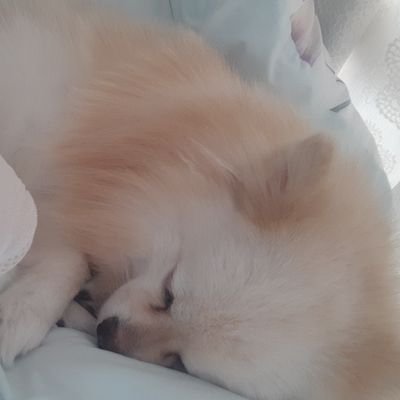 haku20180701's profile picture. 