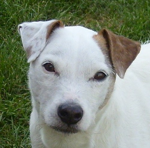 lincslass2's profile picture. I love to read, listen to music and chat I can talk for England.