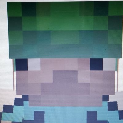 Constructor de minecraft /
comisiones abiertas! /
IG: http://malfa.ct