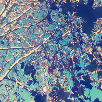 Danielopes29's profile picture. 