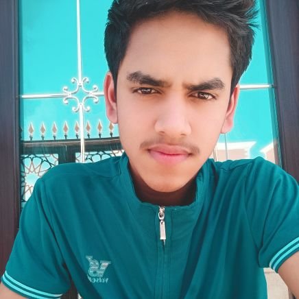 hridoy173873's profile picture. little profile💔🫠