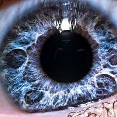 mariusz_suski's profile picture. 