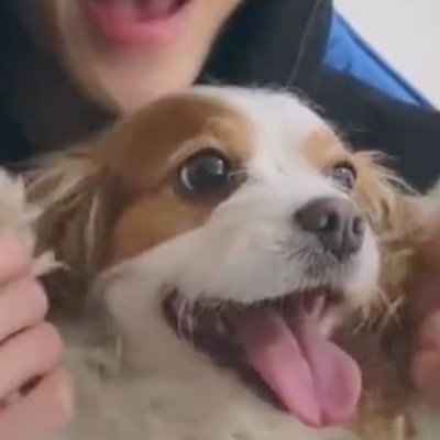 (hiatus) ⊙3⊙ 나는나는보따리노 ⊙3⊙さんのプロフィール画像