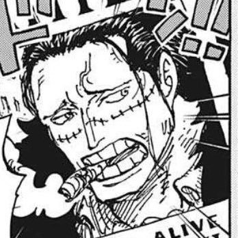 『Animal's』は大事な家族の一員。『ONE PIECE』▶クロコダイル🐊&ヤマト👹&ミホーク🦅、『SPY×FAMILY』▶︎ボンド🐶、『ハイキュー』▶︎黒尾🐈⬛&木兎🦉&影山🐦⬛ 原作絵中心&各1でグッズ収集。 ゆず🍊&緑黄色社会🥦のライブ参戦済