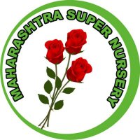 Maharashtra Super Nursery(@MSupernursery) 's Twitter Profile Photo