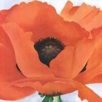 Sharon M (@sharonm72) 's Twitter Profile