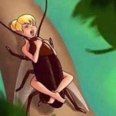 sooks84637462's profile picture. .