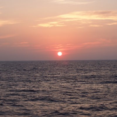 AHILU20220829's profile picture. 2024年度から非常勤講師1年目 25年度から正規