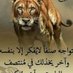 فحل موجب نار كتوم (@abwalqrwd) Twitter profile photo فحل موجب نار كتوم (@abwalqrwd) Twitter profile photo