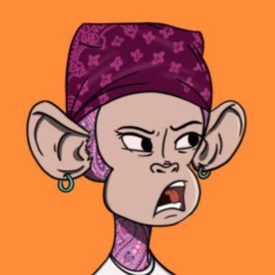 tara_tabandeh's profile picture. 