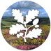 NorthDevonNT (@northdevonnt) Twitter profile photo NorthDevonNT (@northdevonnt) Twitter profile photo