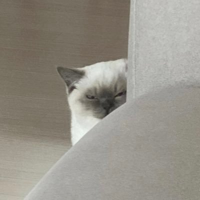 restさんのプロフィール画像