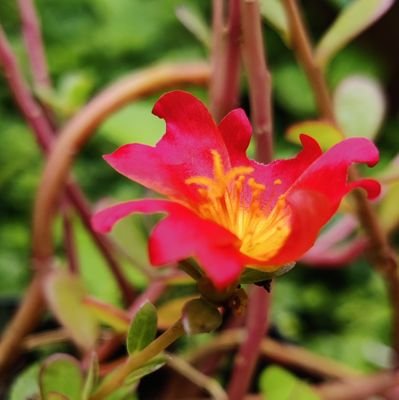 SushantPeshkar's profile picture. Changemaker @Ketto
Movie Buff | Digital Media Expert | Biker | Traveler
🇮🇳| 🎥| 🏍️|🌍|📷| 📉|⛰️|Cricketer 🏏| 🇮🇳