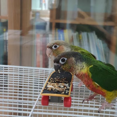 banillalatte20's profile picture. 