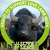 The Buffalo Farm (@thebuffalofarm) Twitter profile photo The Buffalo Farm (@thebuffalofarm) Twitter profile photo
