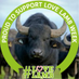 The Buffalo Farm (@TheBuffaloFarm) Twitter profile photo