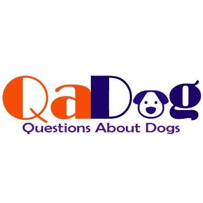 Questions About Dogs And Their Answers Are Available Here For The Benefit Of All Dog Lovers.