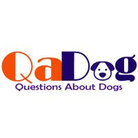 Questions About Dogs(@QuestnAboutDog) 's Twitter Profileg