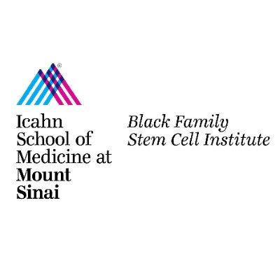 The Black Family Stem Cell Institute (BFSCI) serves as the central node for the many studies on stem cell biology at Mount Sinai.