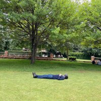 Usman Gul (@usmangul) 's Twitter Profile