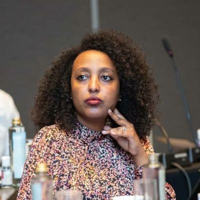 @_AfricanUnion | @aga_platform| former #BritishCouncil. Tweets are personal. Retweets are not endorsements.