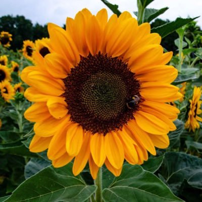 Aureliopk22's profile picture. Cuenta personal