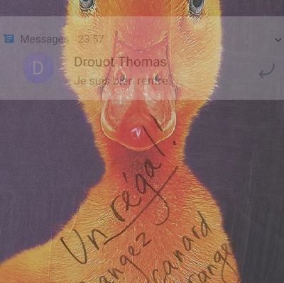 ElieDrouot's profile picture. Vld raleur