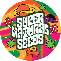 Supernaturalseeds.uk(@snseedsuk) 's Twitter Profile Photo