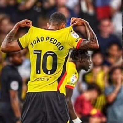 RhysWatfordfan's profile picture. Big watford fan that loves football and hates Luton