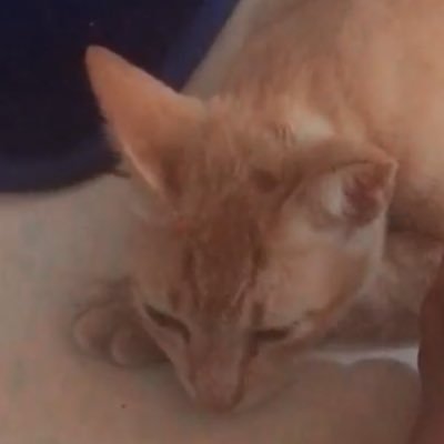 istanwithu2's profile picture. 