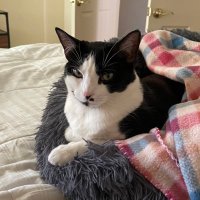 Paul (@gamerdad4lfe) 's Twitter Profile