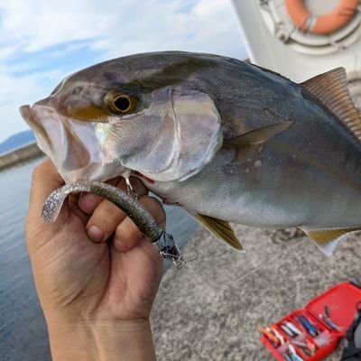 ほぼ釣りなやつ🎣🎣🎣🎣🎣🎣
関西anglerです。よろしくお願いします😌