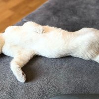 mlsffb (@maalesefffb) 's Twitter Profile