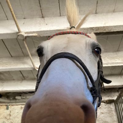 eqalmee's profile picture. 