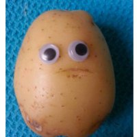 🥔 (@notaspud_) 's Twitter Profile