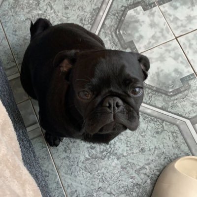 glezgaytan's profile picture. 