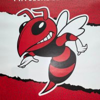 Branford Athletics (@bpsathletics1) 's Twitter Profile
