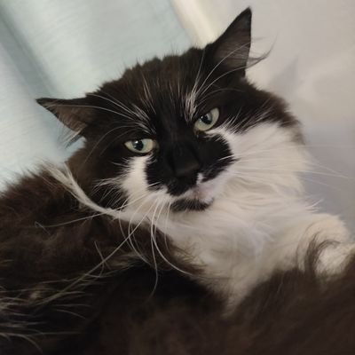 x403ERROR's profile picture. Just creating 403s