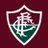 @FluminenseFCFem